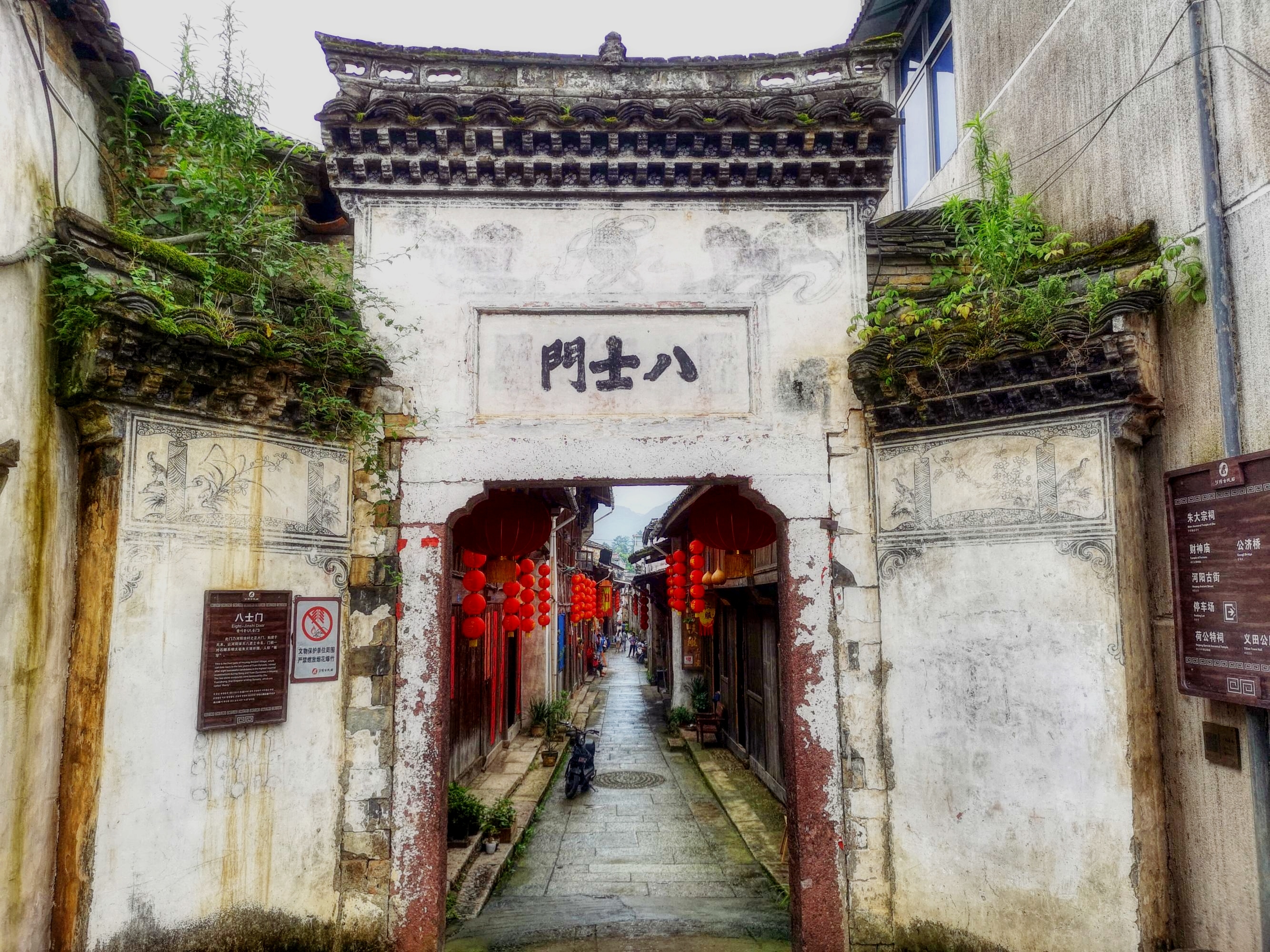 河阳寻访任务