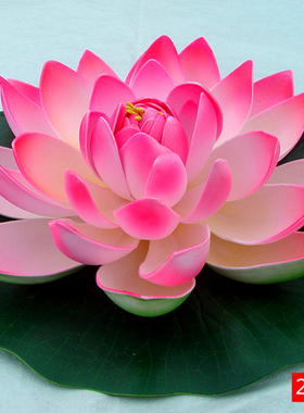 倒插莲花图片