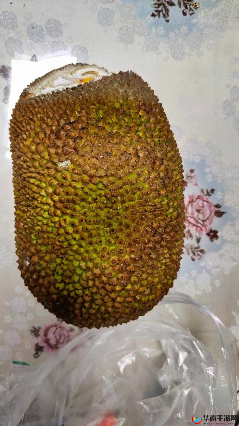 菠萝菠萝蜜免费播放高清菠萝菠萝蜜免费播放高清-第2张图片