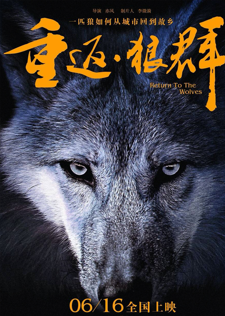 狼群影院在线观看免费版狼群影院在线观看免费版，探索电影新世界