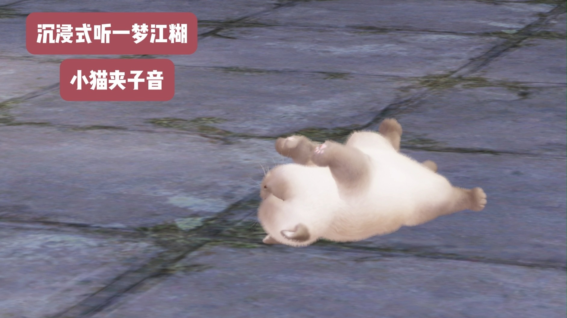 梦幻江湖回合制手游，沉浸式江湖冒险之旅-第3张图片