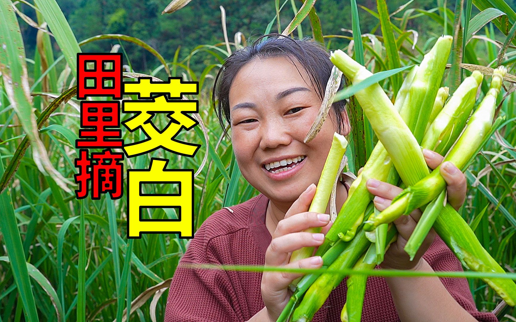 翁熄系列乱老扒第三部最新章节翁熄系列乱，老扒揭秘-第1张图片