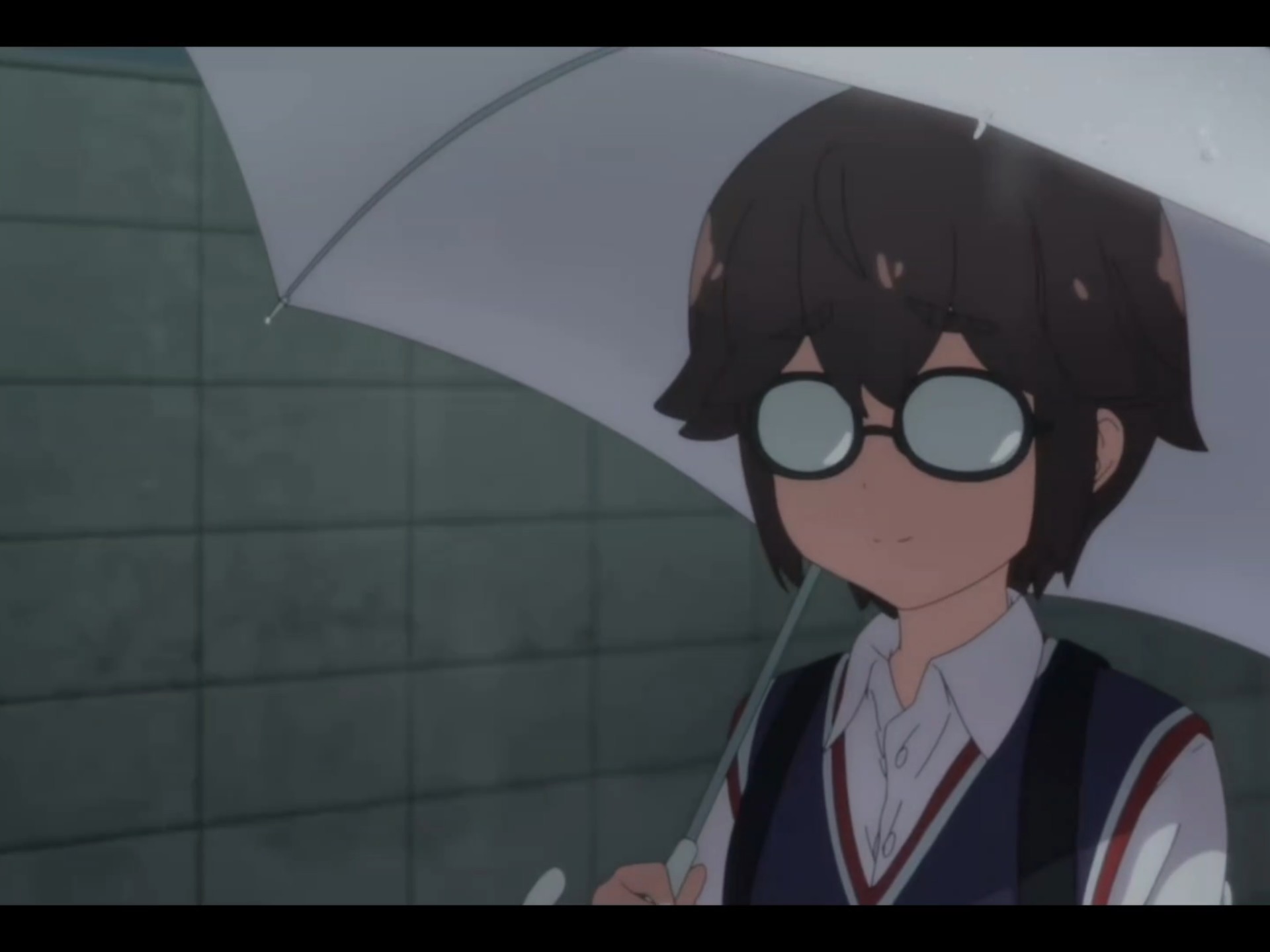 雨后小故事