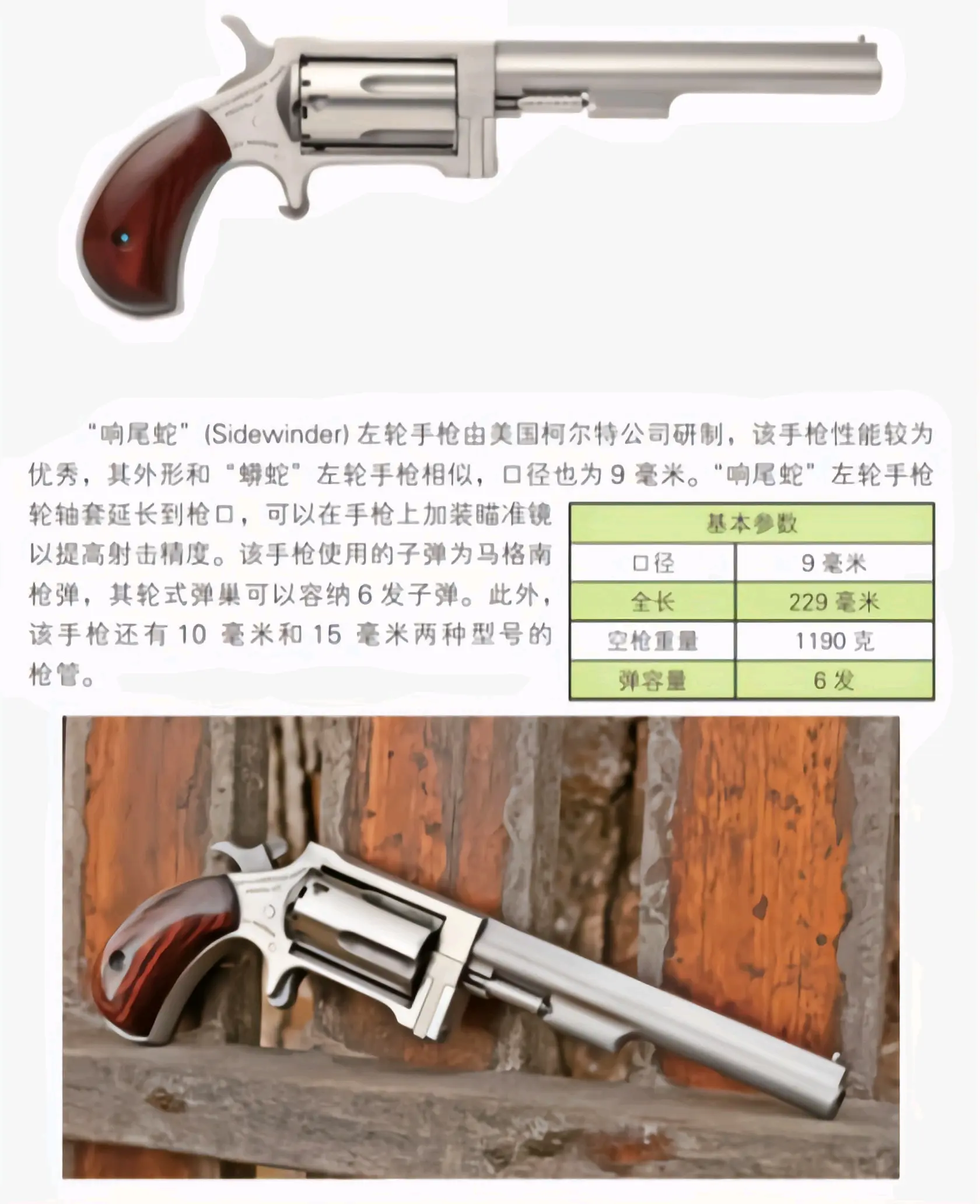 left 4 dead 2探索左轮4死的世界，游戏体验与深度解析