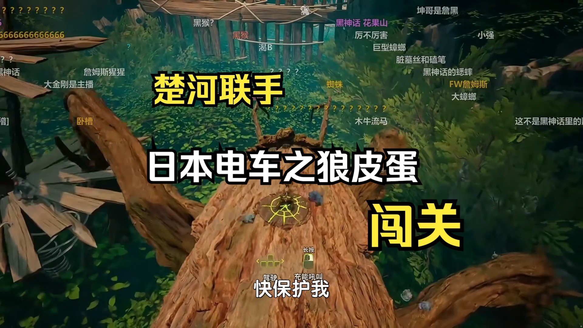 电车之狼是啥电车之狼-第3张图片