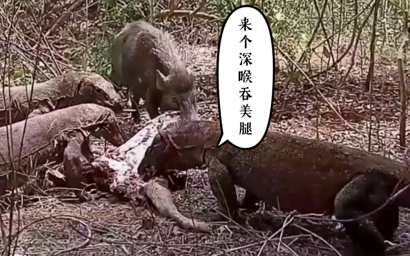 如何整根吞下整根食物