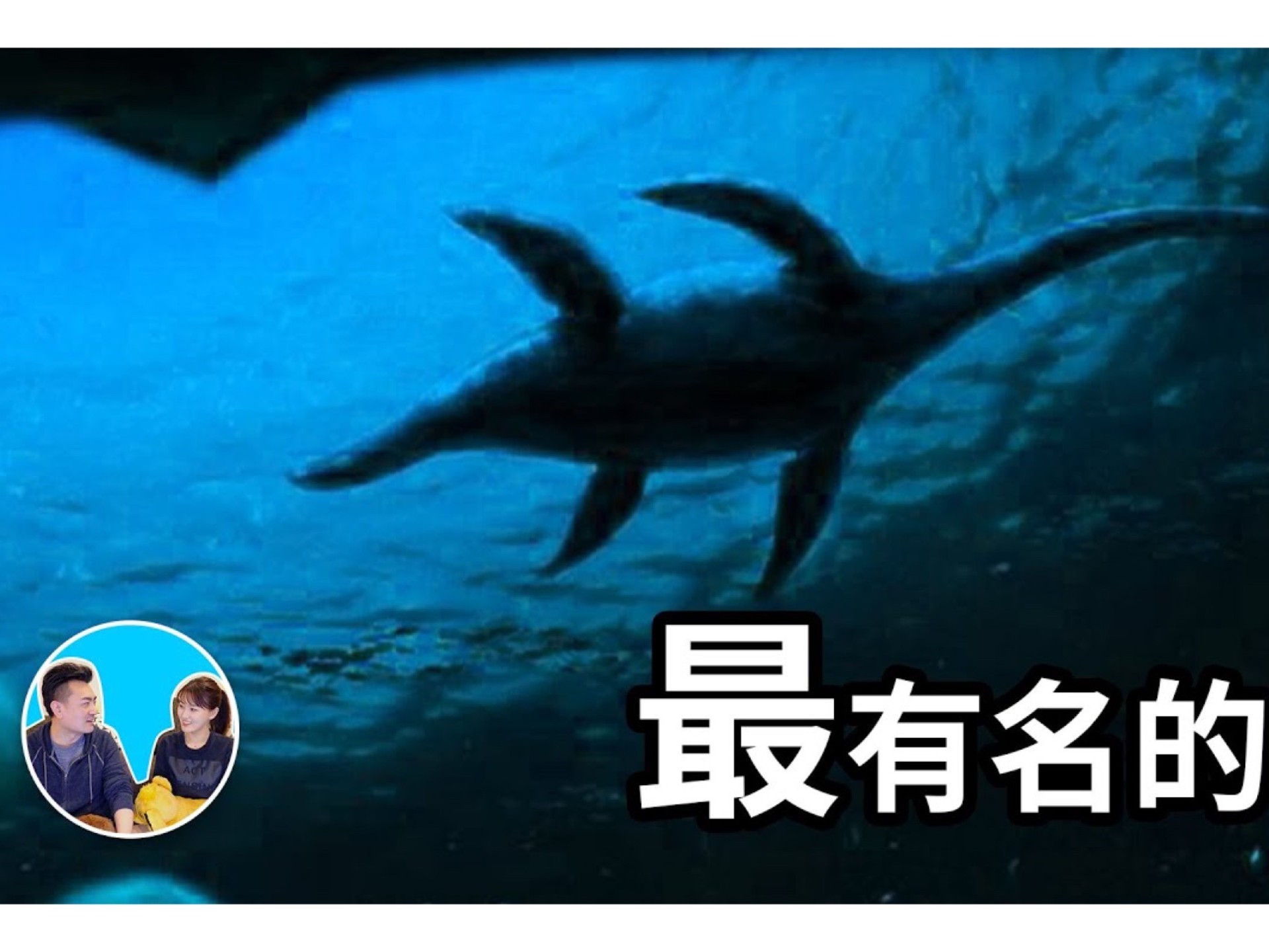 波士可多拉性格配招波士可多拉，神秘海洋中的神秘生物-第2张图片