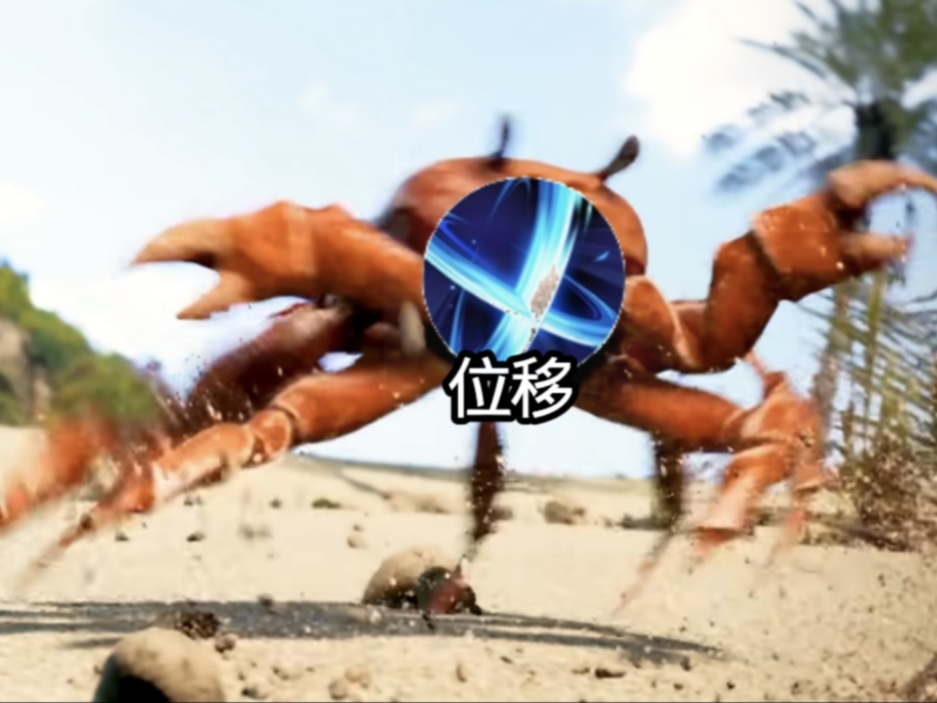 黑切是什么黑切是什么