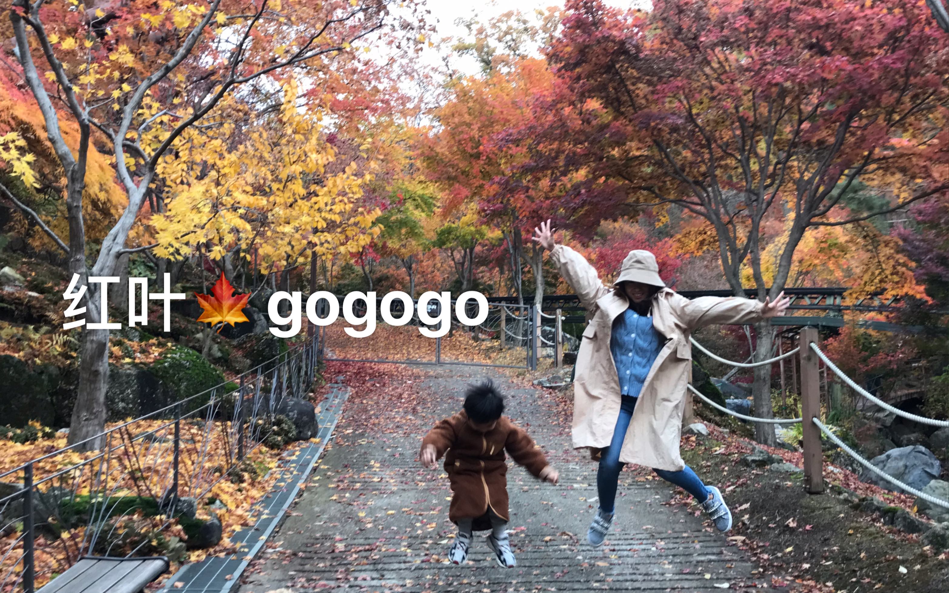 探索Gogogo韩国免费观看的奇妙之旅