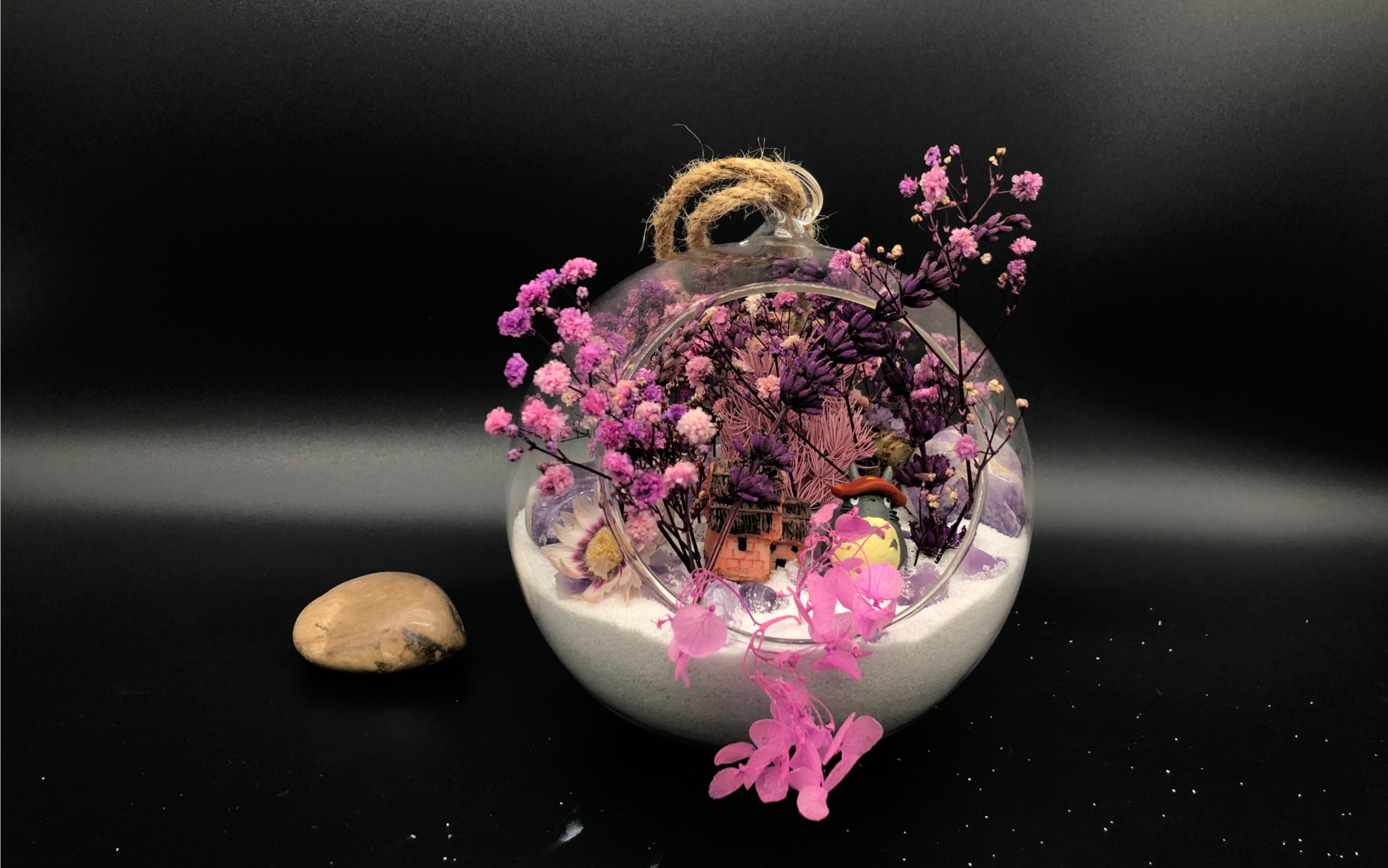 紫龙插花芯紫龙插花芯-第1张图片