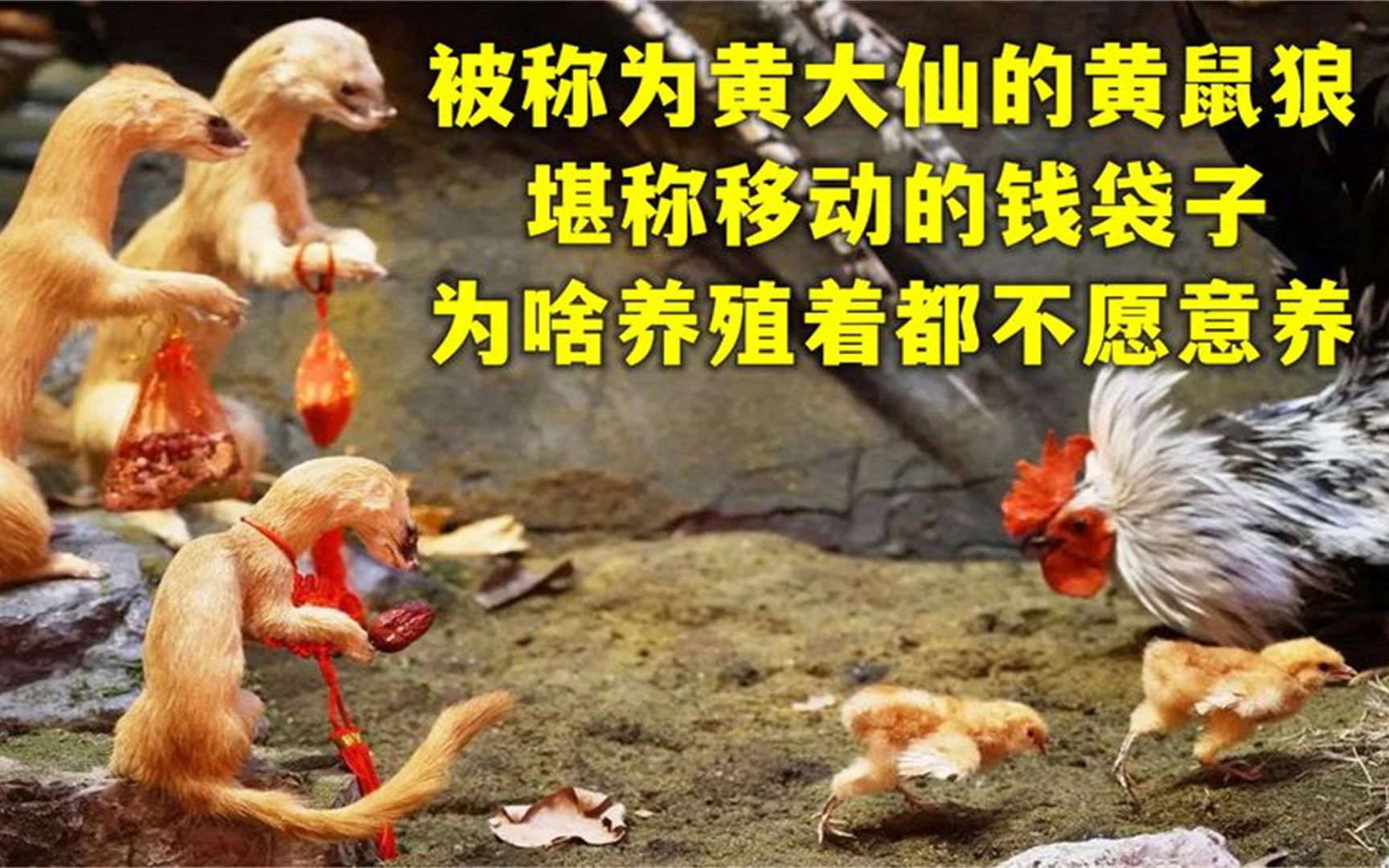 黄大仙救世网资料黄大仙救世网，资料介绍