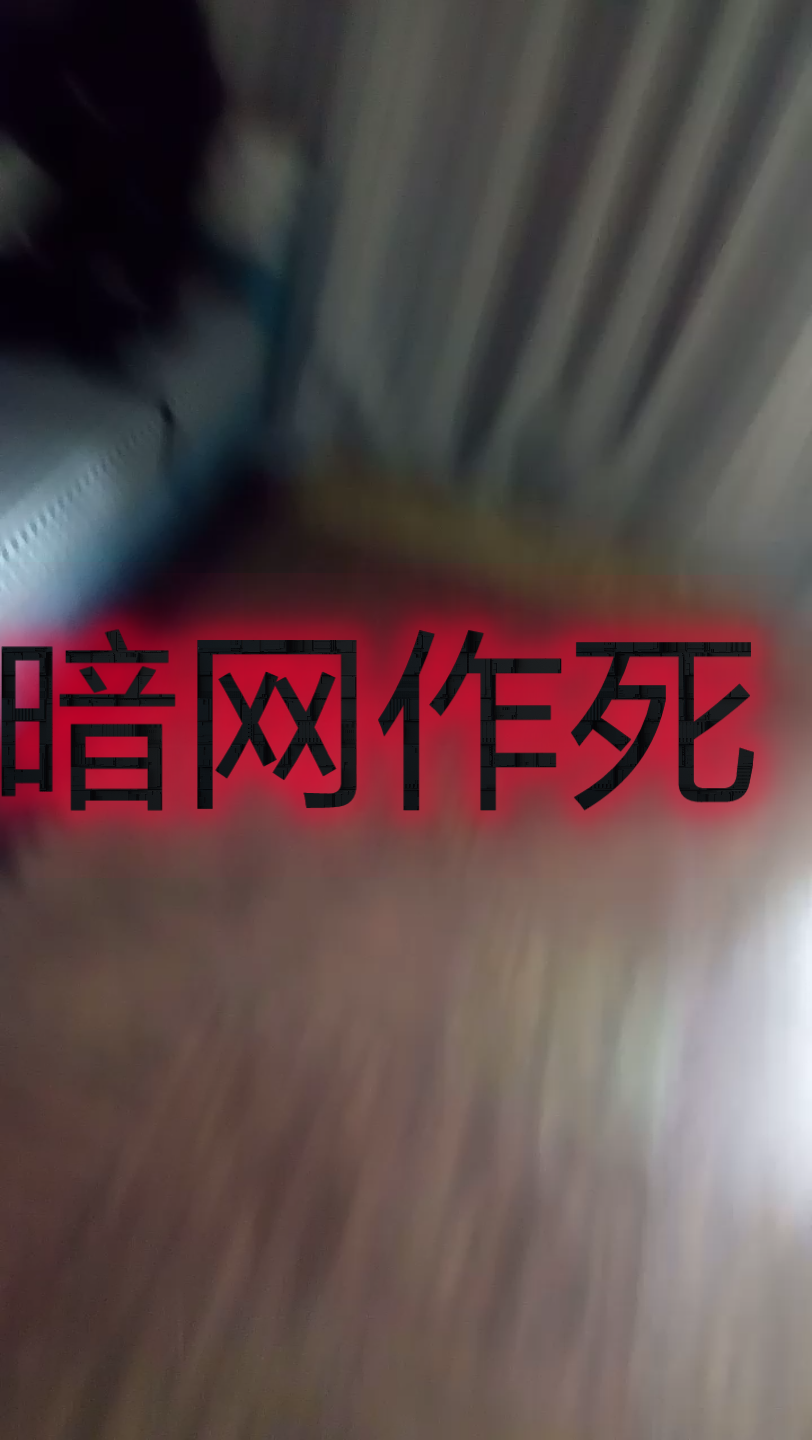 访问过暗网的人真实经历访问过暗网真实经历-第1张图片