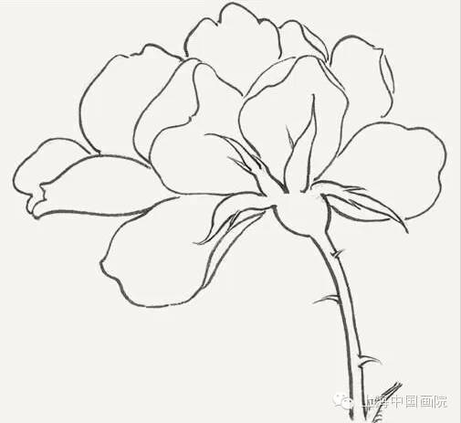 凸起的花蒂搓尿-第3张图片