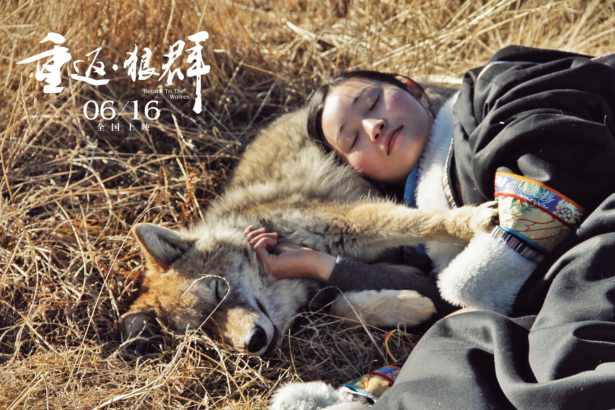 狼群影院官网在线观看狼群影院官网在线观看体验-第2张图片