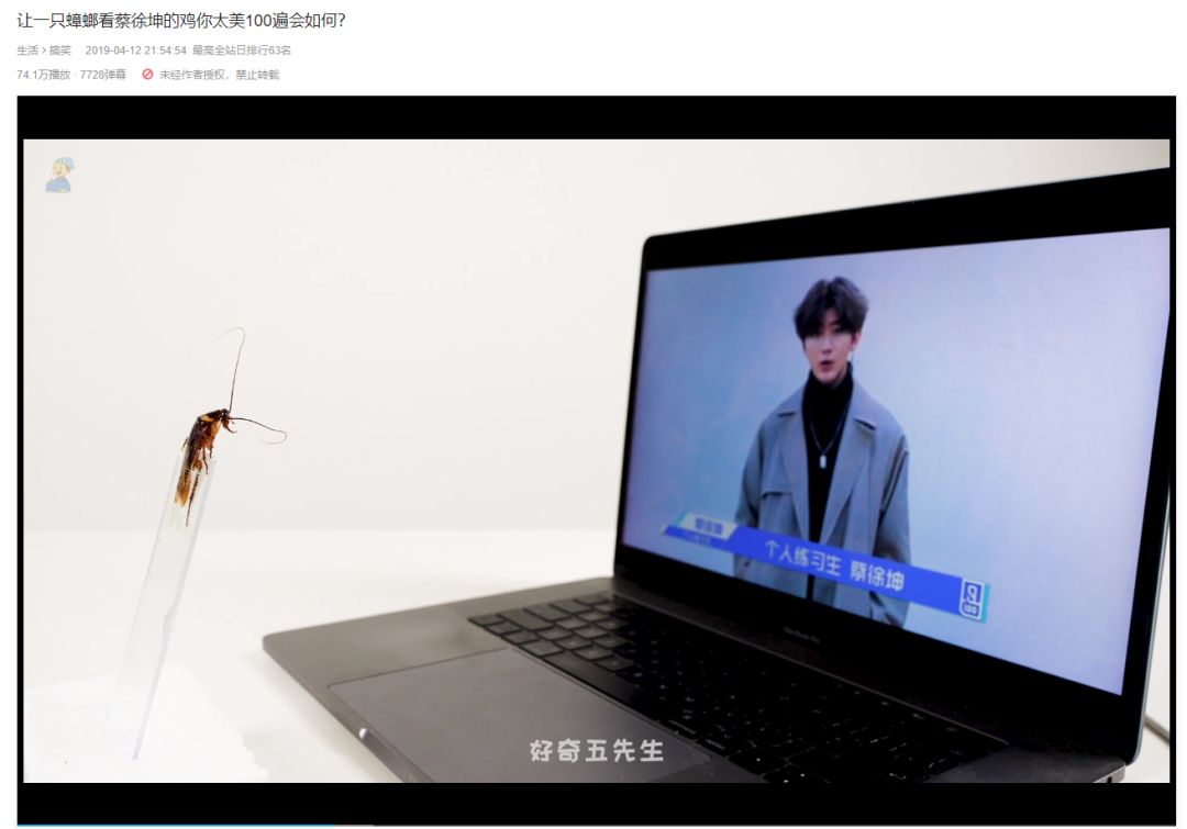 男生在B站上看什么