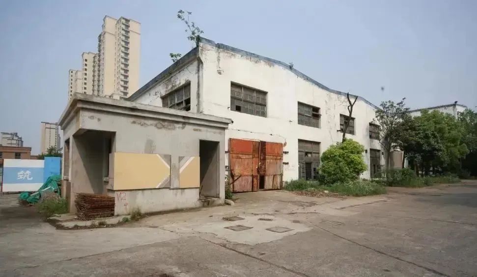 比思论坛特区比思论坛特区，创新与发展的热土