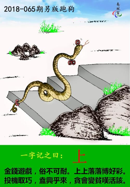 2020澳门开奖记录开奖现场2020澳门开奖记录，开奖现场揭秘-第2张图片