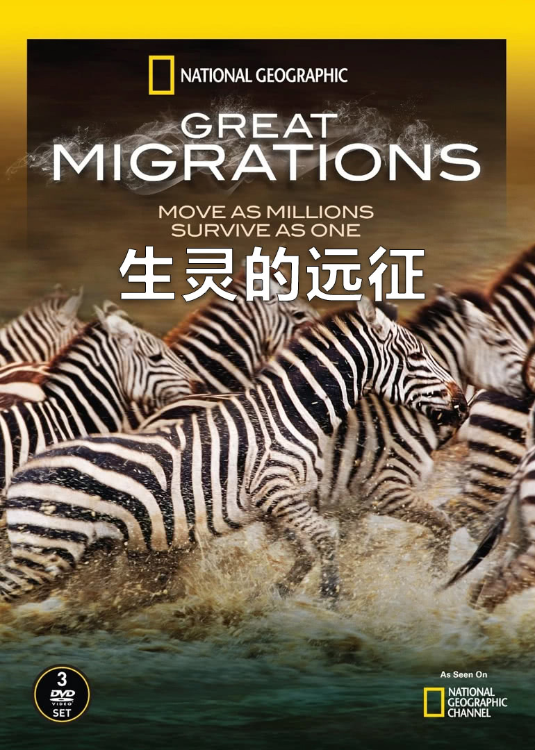 细胞的旅程纪录片细胞的旅程，生命的奥秘之旅-第2张图片