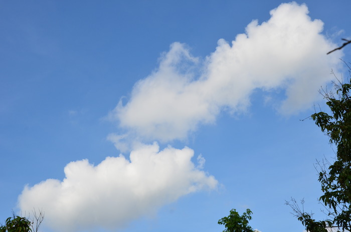 天空彩与你同行开结果天空彩好与你同行