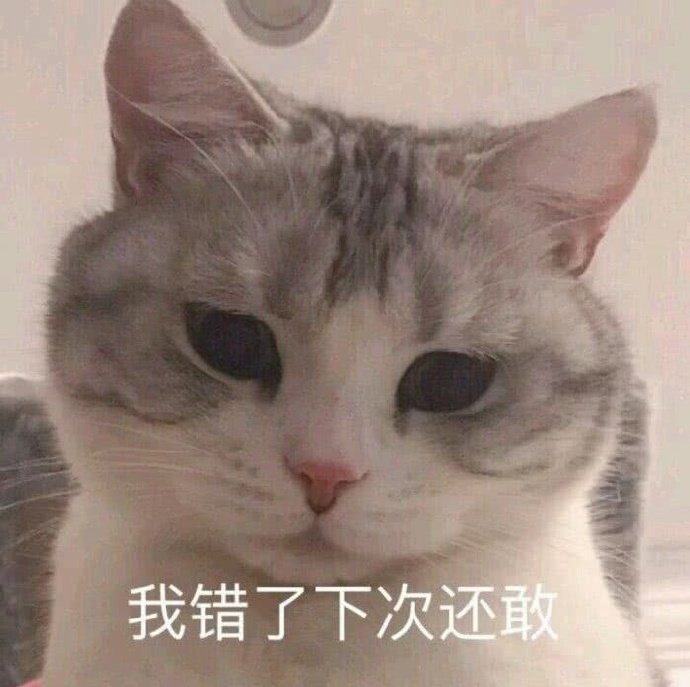 主人我错了能不能关掉开关主人我错了能否关掉开关-第1张图片