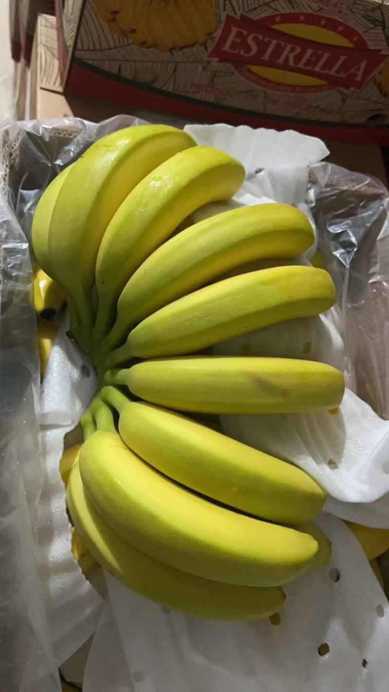 国产精品香蕉视频在线推广-第2张图片