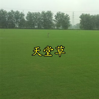 天堂资源种子在线最新版天堂资源种子在线最新版介绍