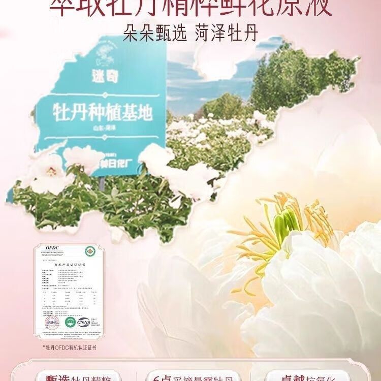 迷奇国度迷奇国度之旅-第2张图片