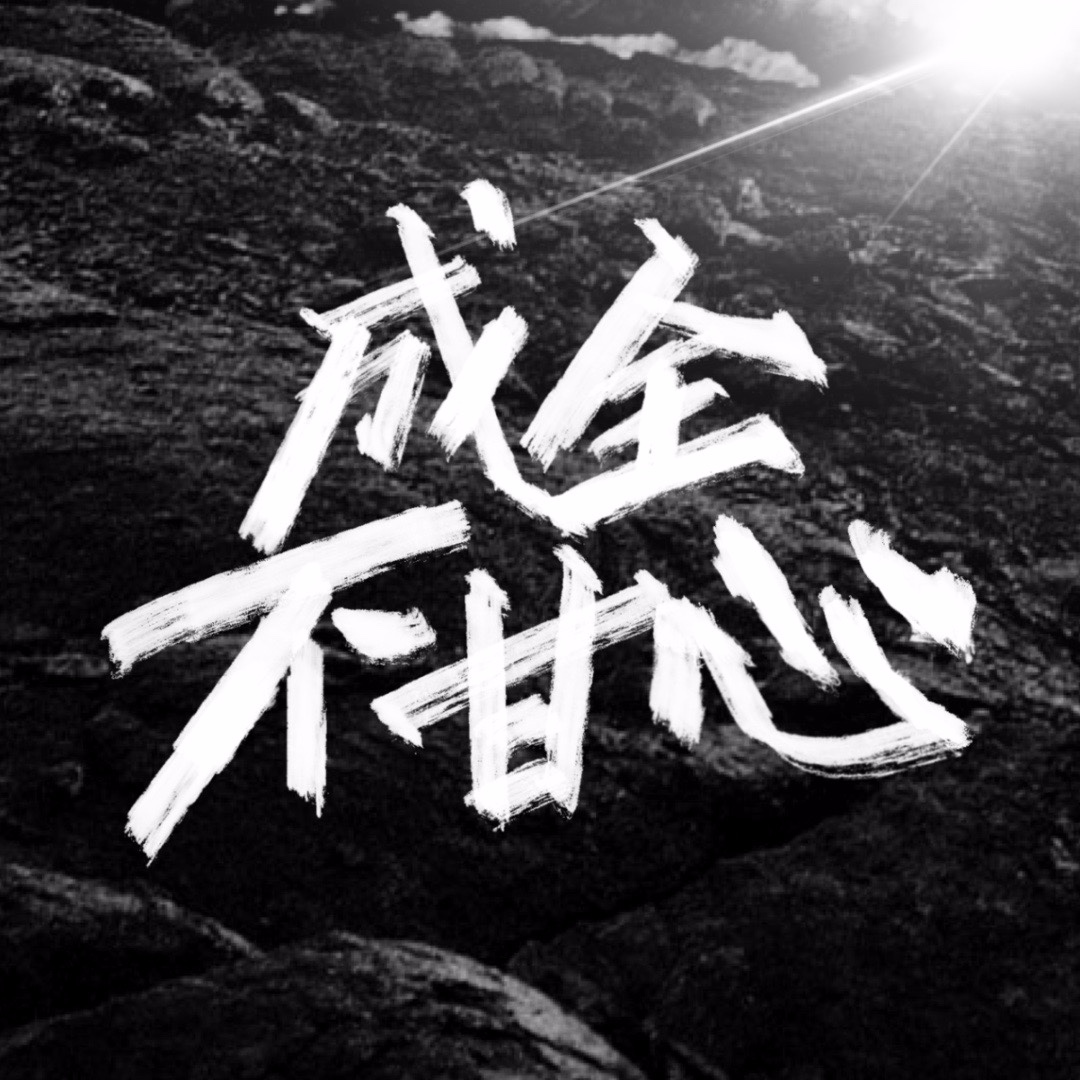 成全免费下载大全软件成全免费下载大全软件