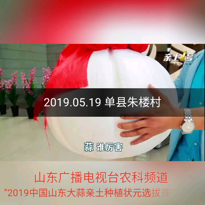 全讯网五湖四海全讯网五湖四海，汇聚信息与智慧
