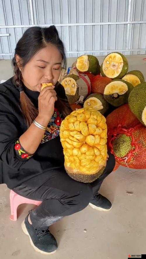 菠萝蜜视频免费观看，警惕污秽内容-第3张图片