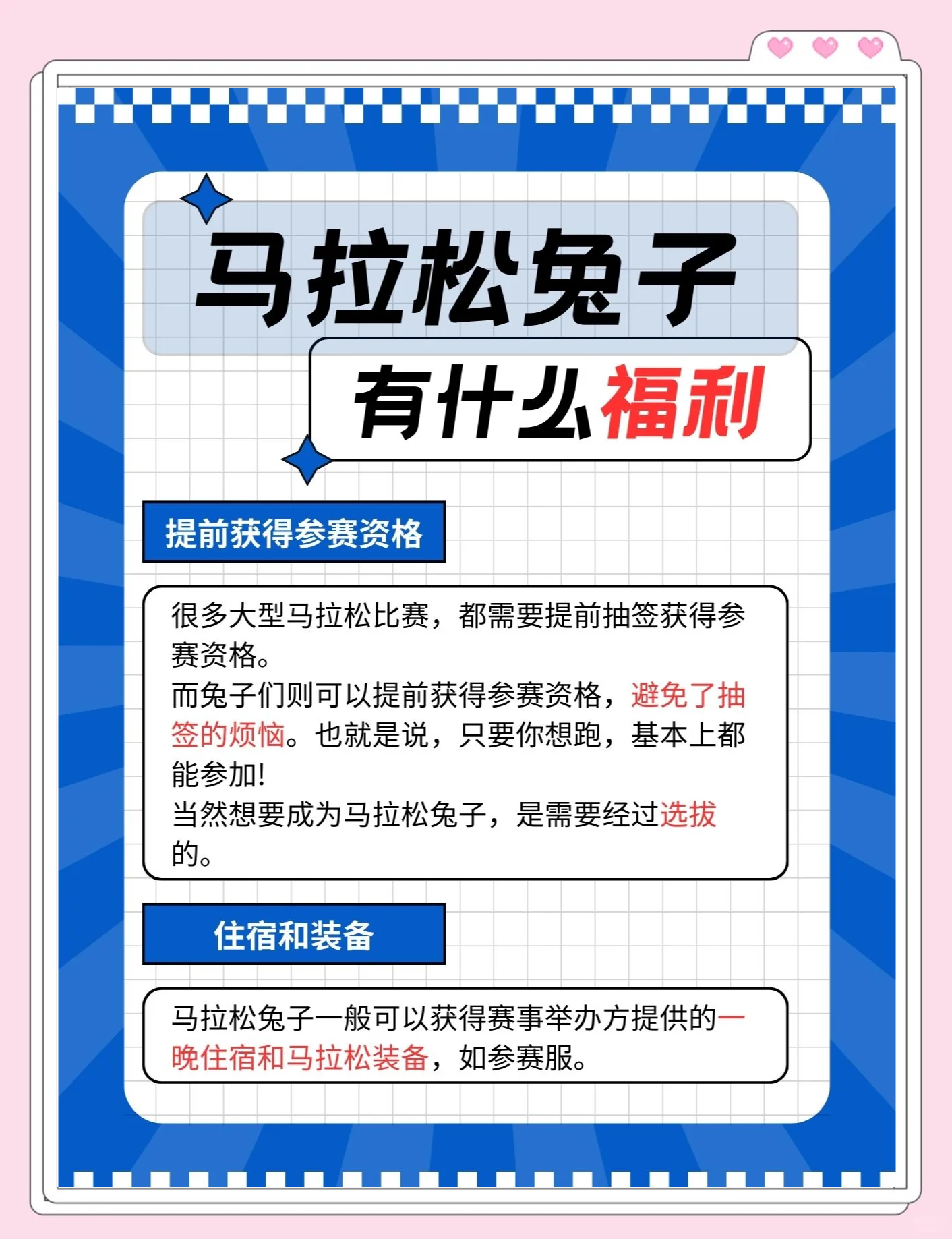 我的兔子好软，免费网站大揭秘