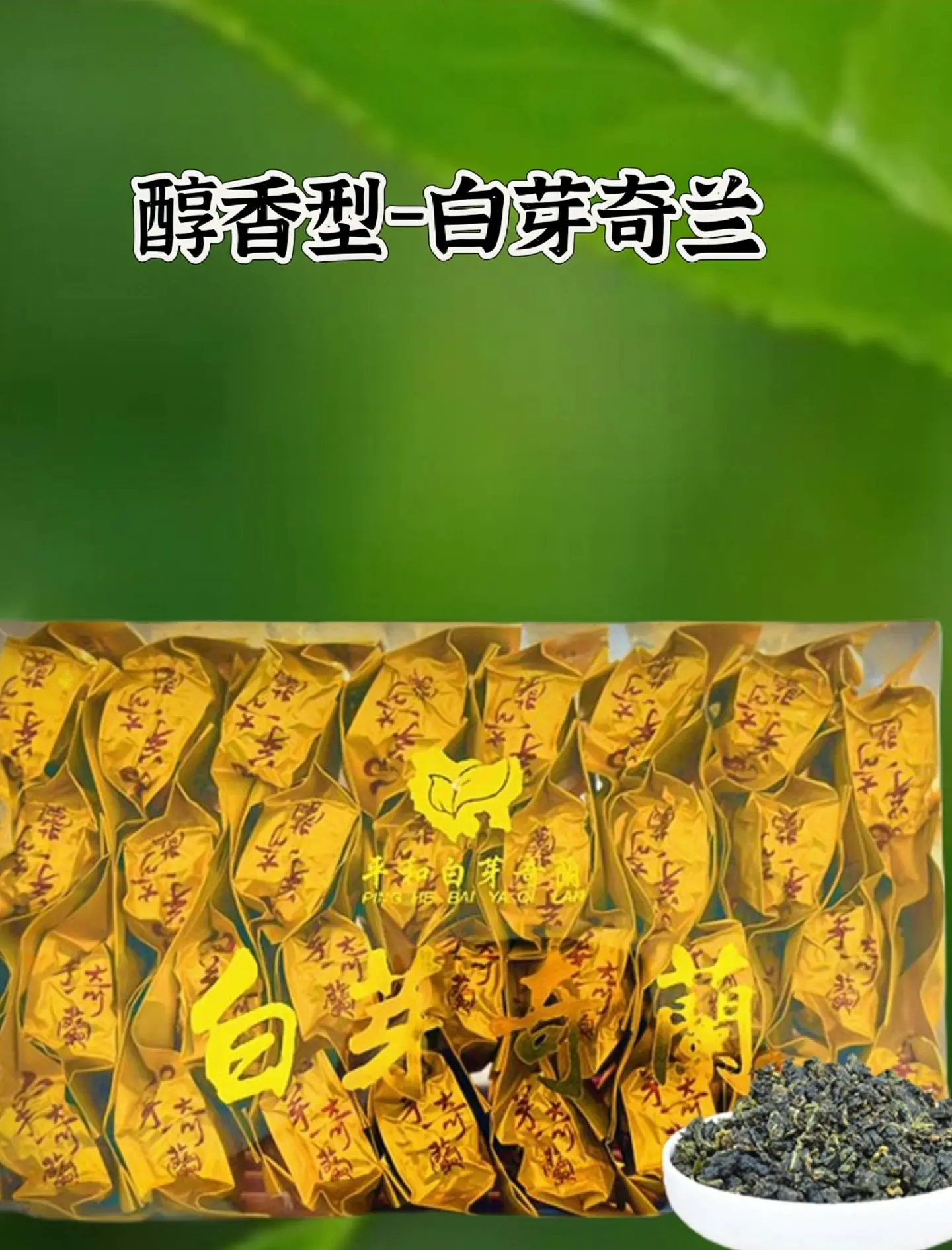 白芽奇兰是什么茶白芽奇兰，兰花中的珍品-第2张图片
