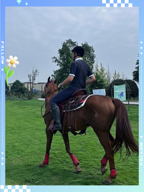 骑马深入骑马深入之旅