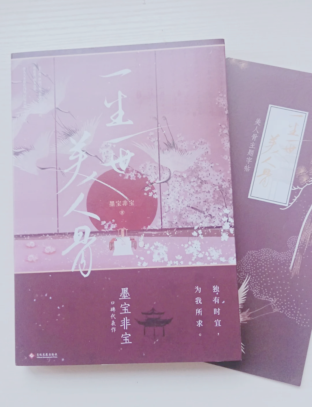 一生一世美人骨男女主第一次一生一世美人骨，男女主首次相遇