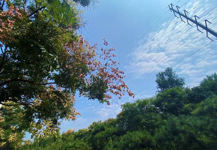 大地资源二中文在线官网大地资源网高清在线观看免费新浪-第2张图片