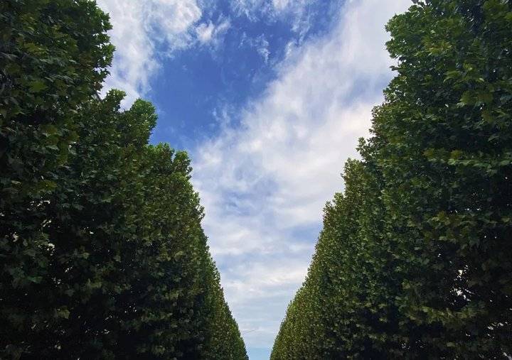 大地资源二中文在线官网大地资源网高清在线观看免费新浪-第1张图片