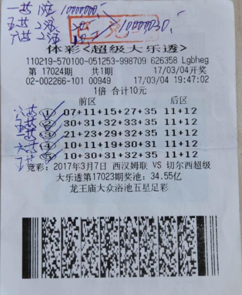 大赢家彩票网大赢家彩票网，彩票投注的新选择