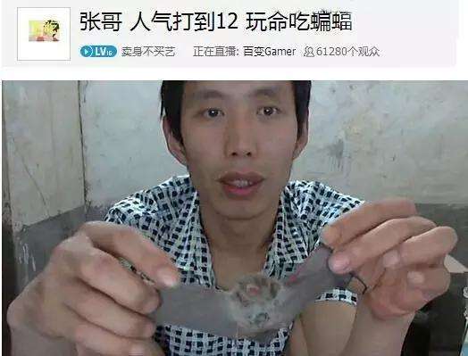 熊猫tv蜜糖热舞视频熊猫TV蜜糖，直播盛宴中的萌趣与欢乐-第3张图片