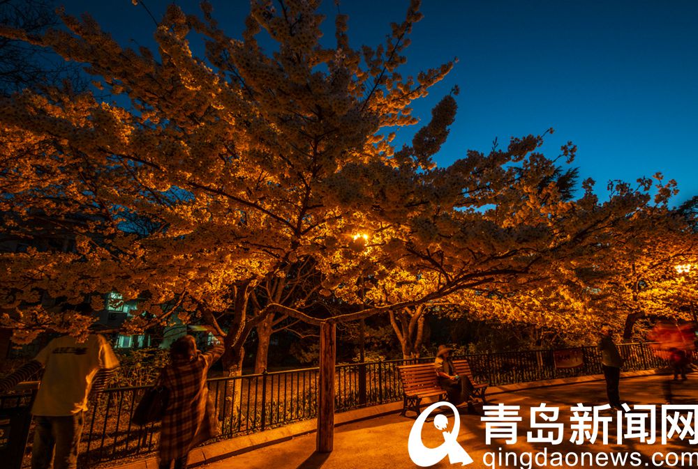 花季视频免费看花季视频免费观看-第2张图片