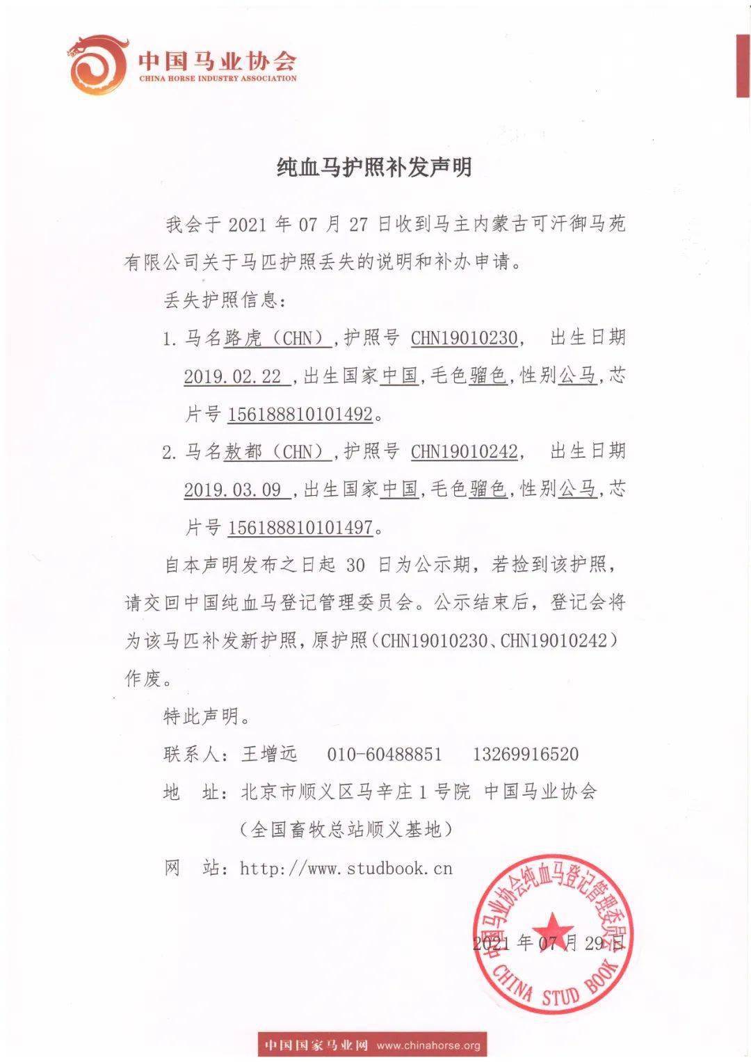 13262cc马会传真一13262cc马会传真，盛大开幕，精彩纷呈