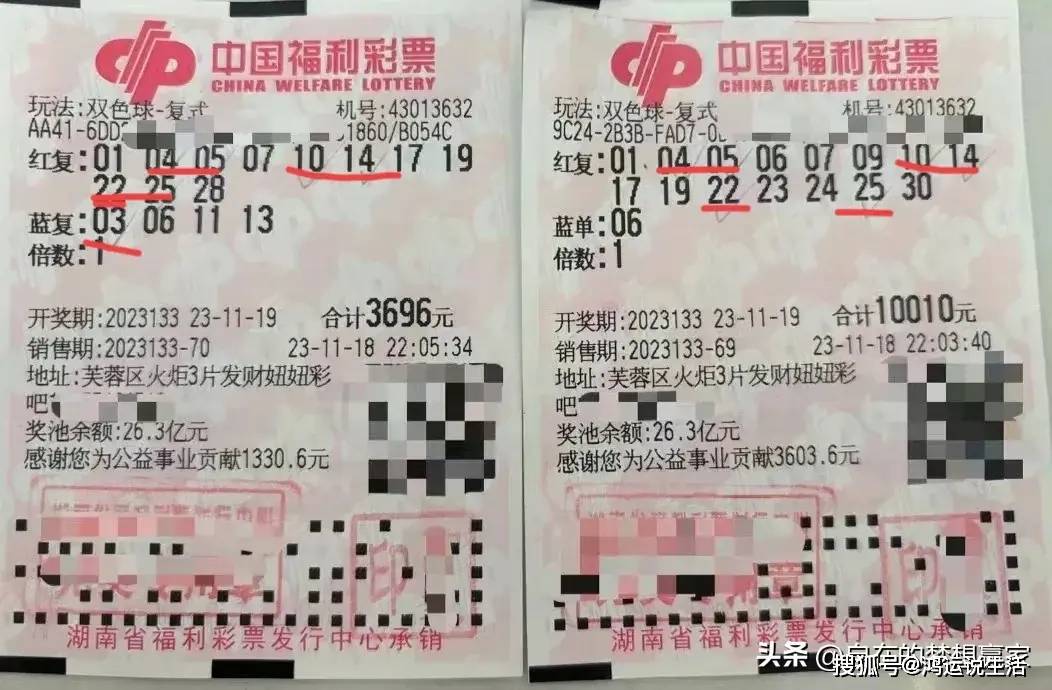 双色球霸主双色球霸主，彩票市场的传奇与影响-第2张图片