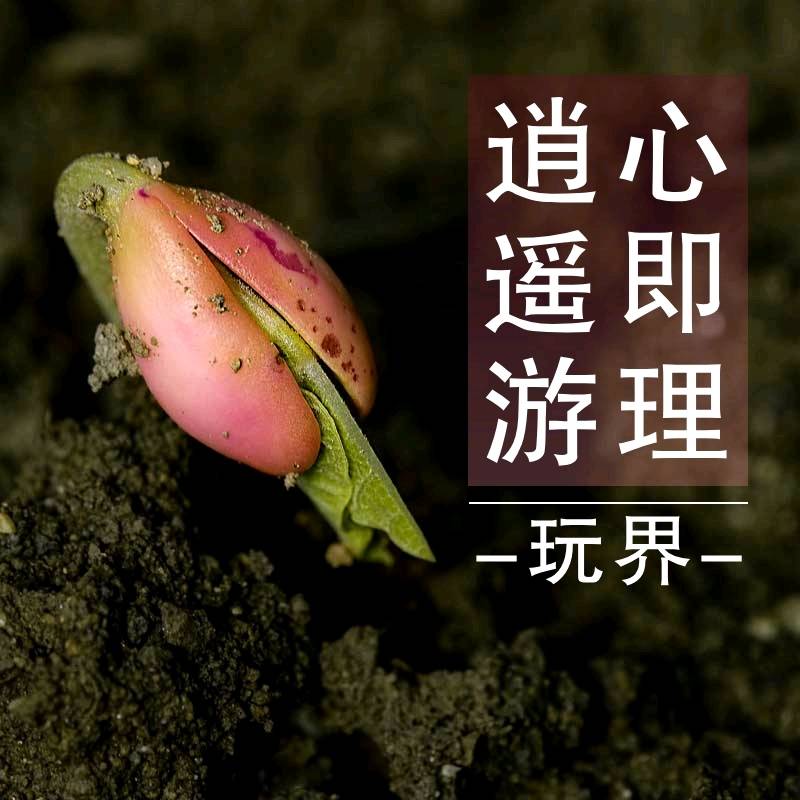 熊猫人下载熊猫人下载，探索数字时代的文化新宠-第2张图片