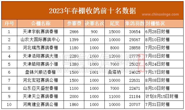 2023澳门马正版免费资料2023澳门马正版免费资料大揭秘-第3张图片