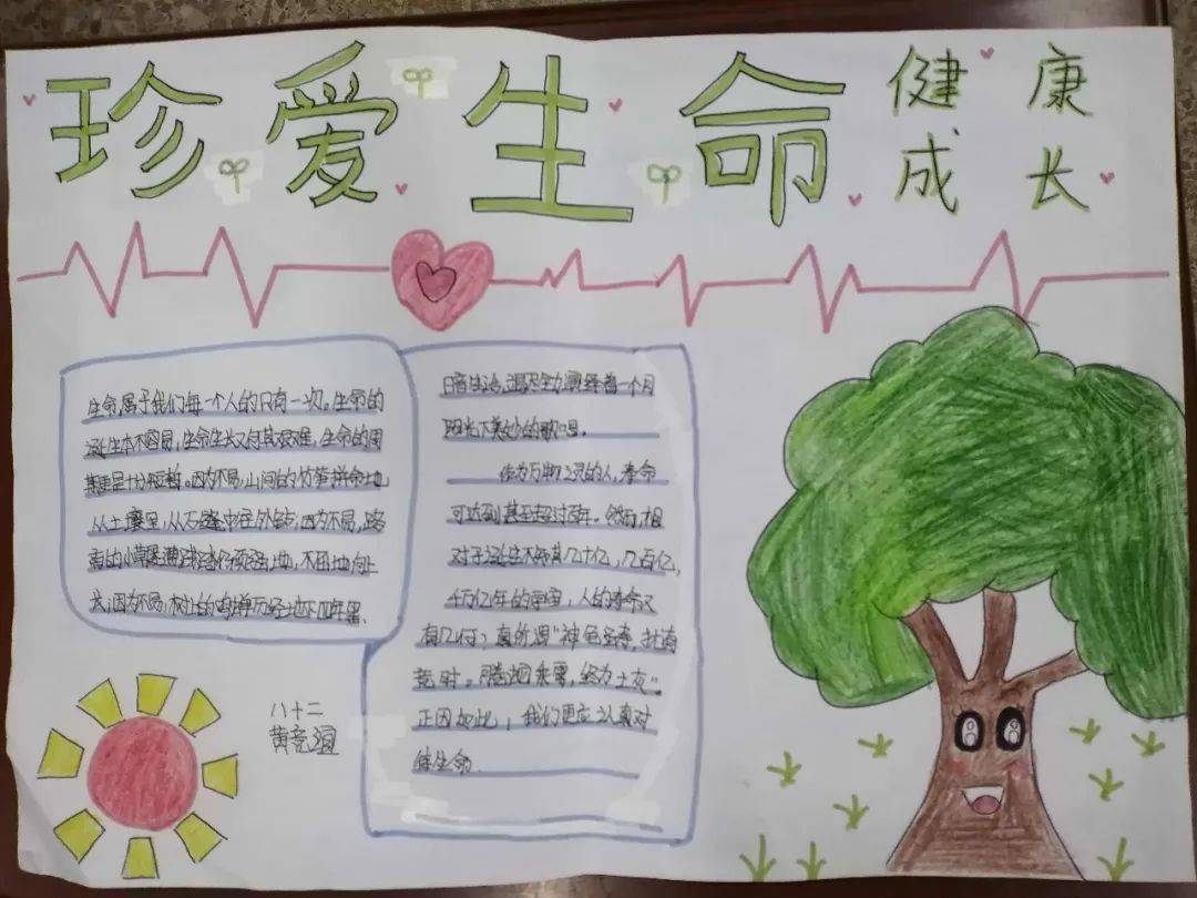 天堂种子，生命之花绽放的启示