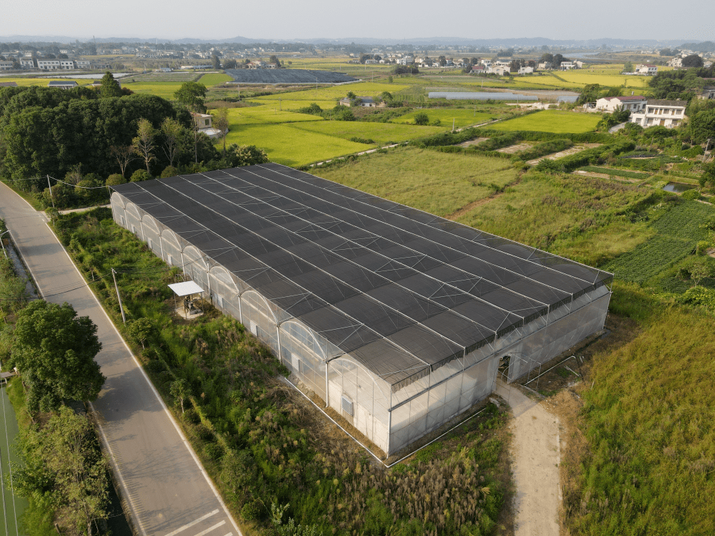 采摘网藏机图全部图谜正版采摘网，高效便捷的农业工具