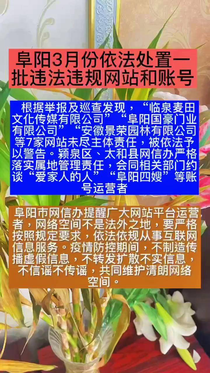 晚上免费正能量网站晚上正能量网址免费推荐-第1张图片