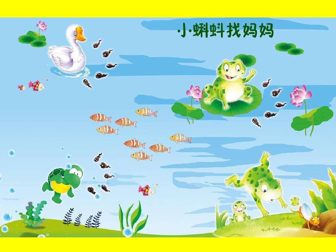 小蝌蚪视频小蝌蚪APP小蝌蚪小蝌蚪视频，APP小蝌蚪的魅力与探索-第3张图片