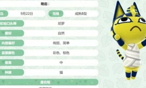 埃及猫舞蹈黄埃及猫舞蹈与黄
