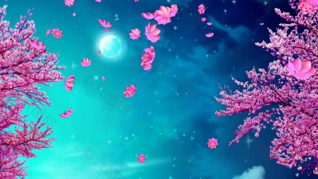 桃花社区在线观看视频桃花社区在线观看视频体验