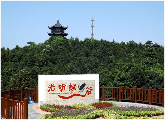 成人蝴蝶谷，探索成人之美的神秘之地-第1张图片
